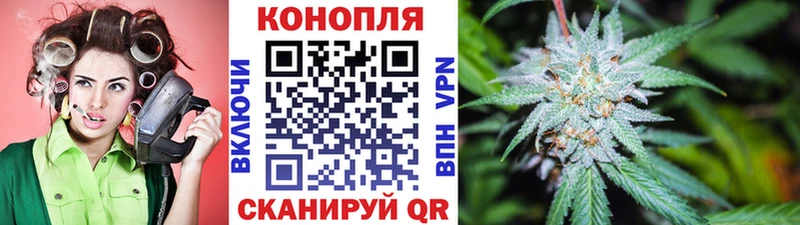 Марихуана тримм  цена   OMG рабочий сайт  Элиста 